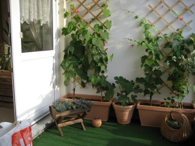 balkon4.JPG