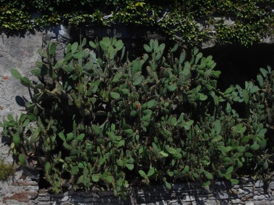 Urlaub August 2008 041.jpg