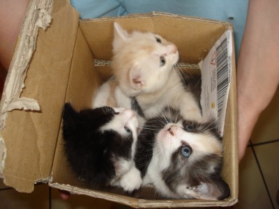 Urlaub August 2008 150.jpg