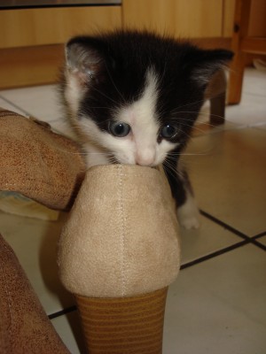 Urlaub August 2008 146.jpg