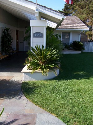 Palms 003.jpg
