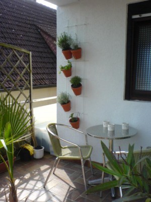 DSC01236.JPG