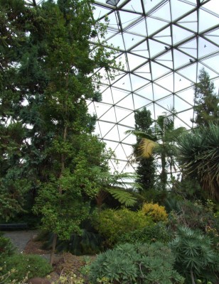 DSCF5942.JPG