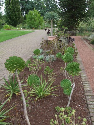 DSCF5939.JPG