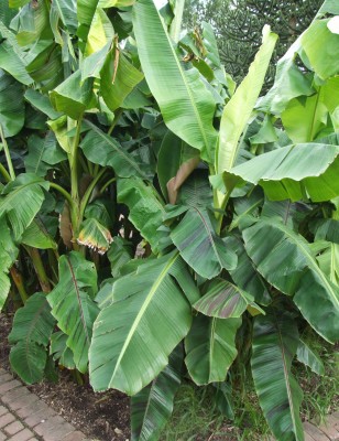 DSCF5938.JPG