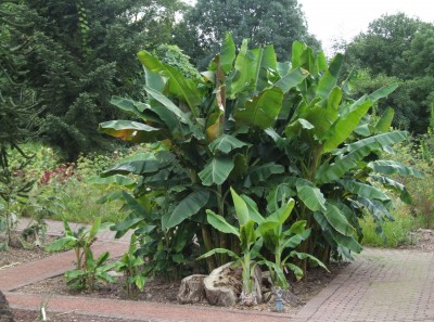 DSCF5937.JPG
