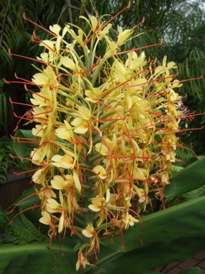 DSCF5932.JPG