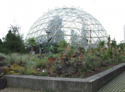 DSCF5940.JPG