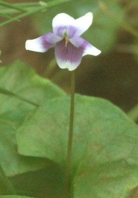 DSCF7560.JPG