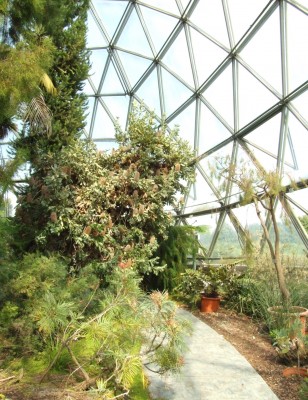 DSCF7548.JPG