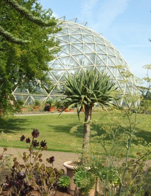 DSCF7542.JPG