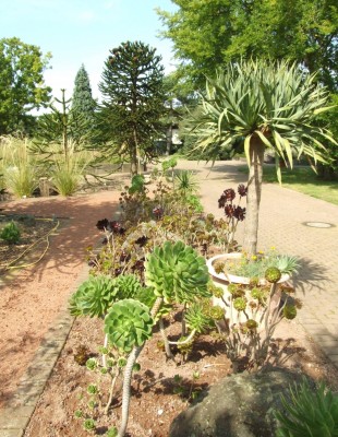 DSCF7540.JPG