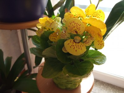 DSCF1323.JPG