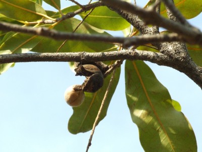 DSCF7585.JPG
