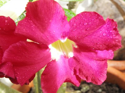 Bild 3278.jpg