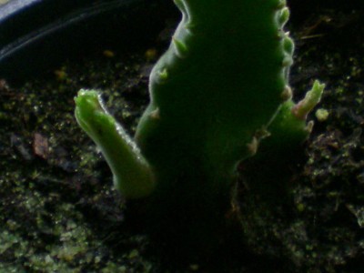 RSCN11410001.JPG