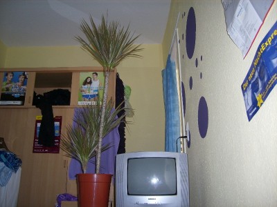 DSCI0418.JPG