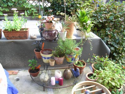 RIMG0004.JPG