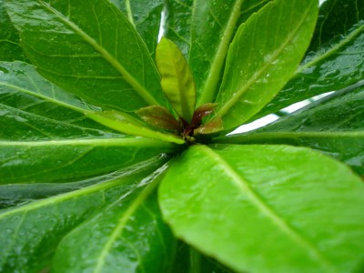 DSCN11490001.JPG