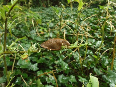 DSCF6149.JPG