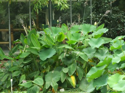 DSCF6026.JPG
