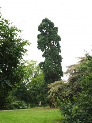 DSCF6159.JPG