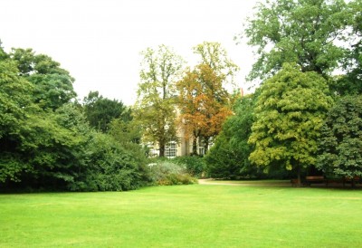DSCF6152.JPG