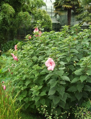 DSCF6022.JPG