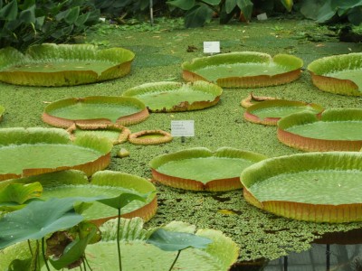 DSCF6027.JPG