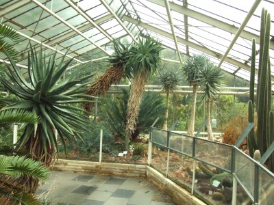 DSCF6059.JPG