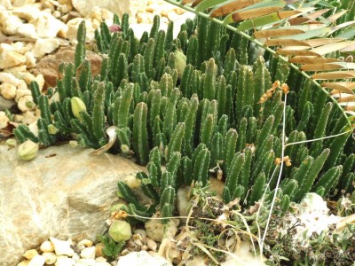 DSCF6058.JPG