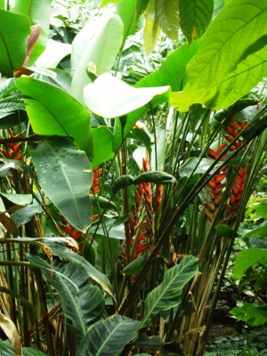 DSCF6090.JPG