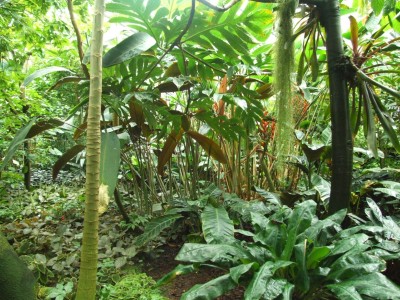 DSCF6088.JPG