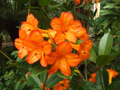 DSCF6130.JPG