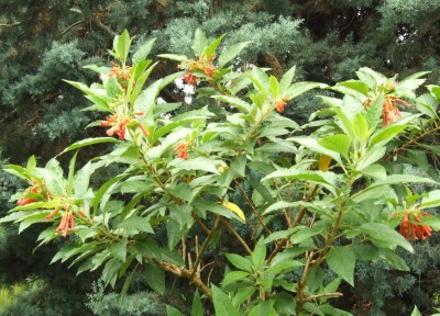 DSCF6122.JPG