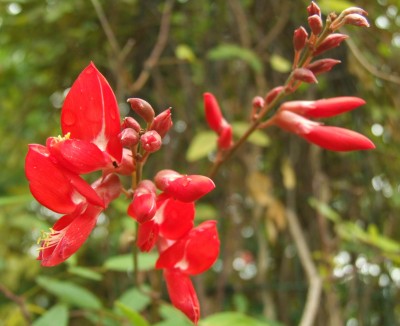 DSCF5993.JPG