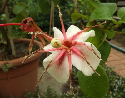 DSCF5974.JPG