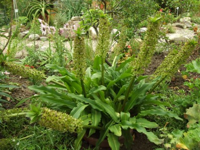 DSCF5987.JPG
