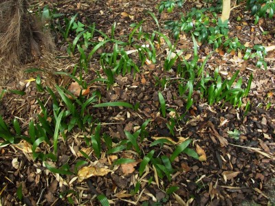 DSCF6190.JPG