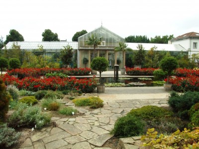 DSCF6623.JPG