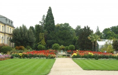 DSCF6503.JPG