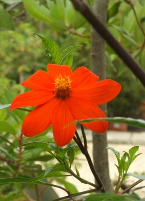 DSCF6554.JPG