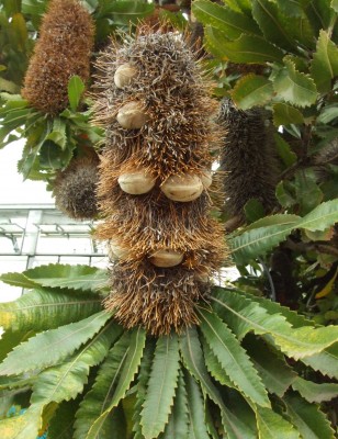 DSCF6526.JPG