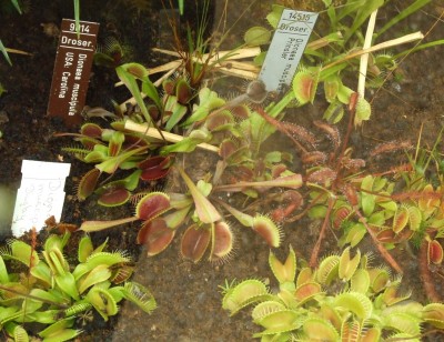 DSCF6570.JPG