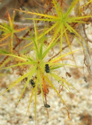 DSCF6569.JPG