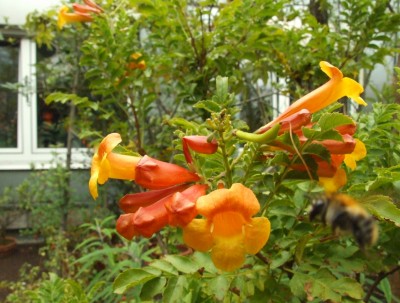 DSCF6562.JPG