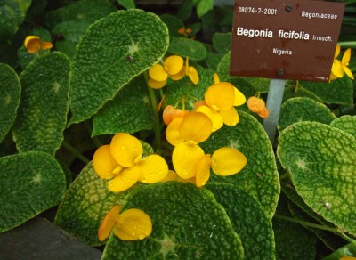 DSCF6639.JPG