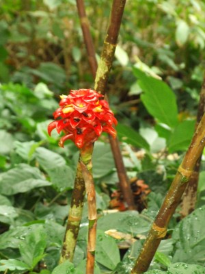 DSCF6633.JPG