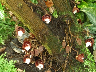 DSCF6628.JPG