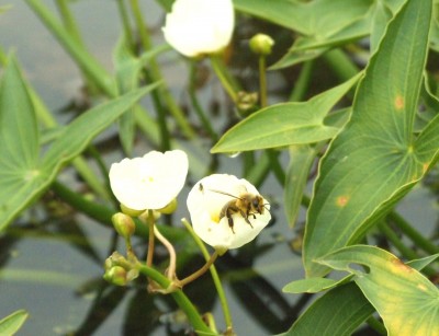 DSCF6615.JPG